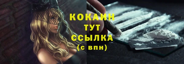 дурь Коряжма