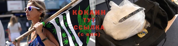 ГАЛЛЮЦИНОГЕННЫЕ ГРИБЫ Кукмор