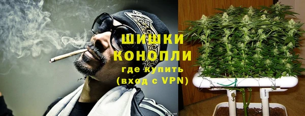 стаф Кулебаки